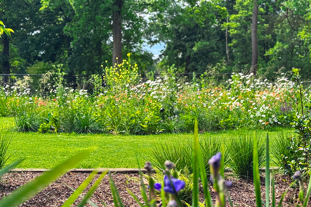 Tuinontwerp - Tuinrealisaties Kurt Meynen